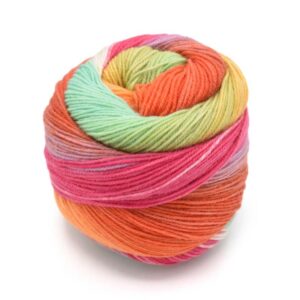 Laines du Nord Paint Harmonious Sock
